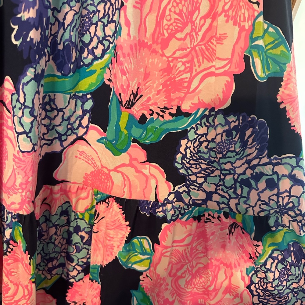 Lilly Pulitzer Maxi - Picture 4 of 4